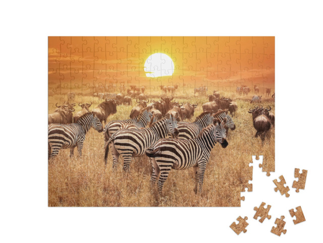 Puzzle 200 Teile „Zebra bei Sonnenuntergang im Serengeti-Nationalpark. Afrika. Tansania.“