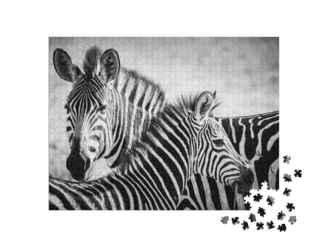 Puzzle 1000 Teile „Zebramutter und ihr Junges im Serengeti-Nationalpark“