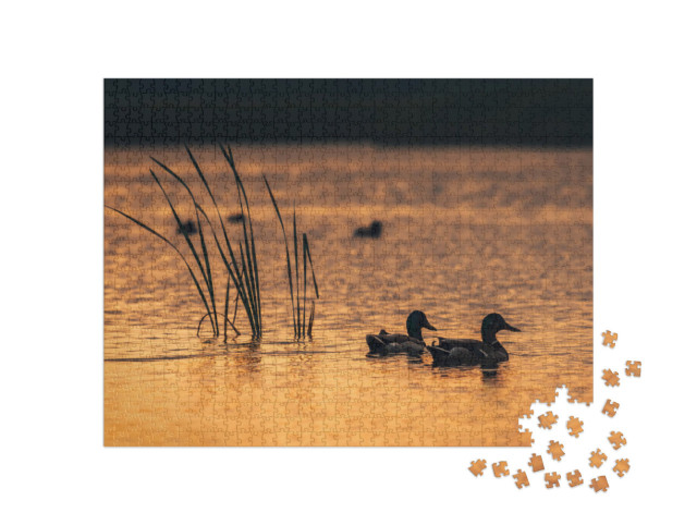 Puzzle 1000 Teile „Enten im Wasser des Sees während des Sonnenaufgangs“