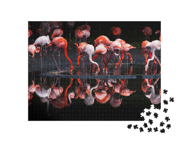 Puzzle 1000 Teile „Gruppe von leuchtenden Flamingos“