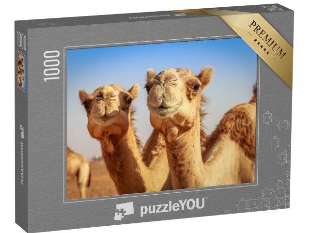 Puzzle 1000 Teile „Freilebende Kamele in Arabien“