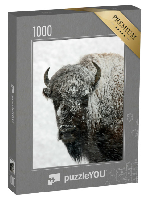 Puzzle 1000 Teile „Bison bei Schnee, Yellowstone-Nationalpark“