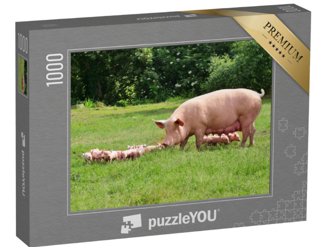 Puzzle 1000 Teile „Muttersau mit unzähligen Ferkeln auf einer grünen Wiese“