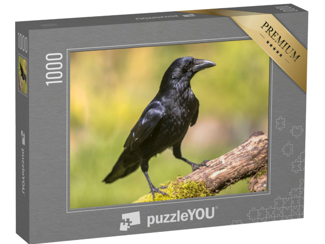 Puzzle 1000 Teile „Schwarze Aaskrähe auf einem moosbewachsenen Baumstamm“