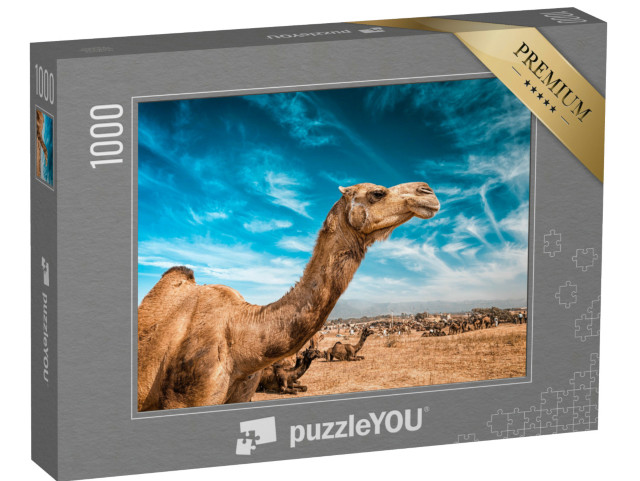 Puzzle 1000 Teile „Kamel auf der Pushkar Mela“