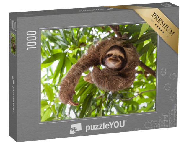 Puzzle 1000 Teile „Faultier in seinem natürlichen Lebensraum“