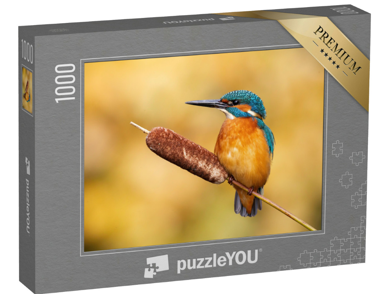 Puzzle 1000 Teile „Ruhiger männlicher Eisvogel, Alcedo atthis“