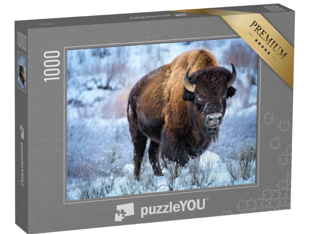 Puzzle 1000 Teile „Amerikanischer Bison kauert bei Schnee, Winter, Yellowstone-Nationalpark“