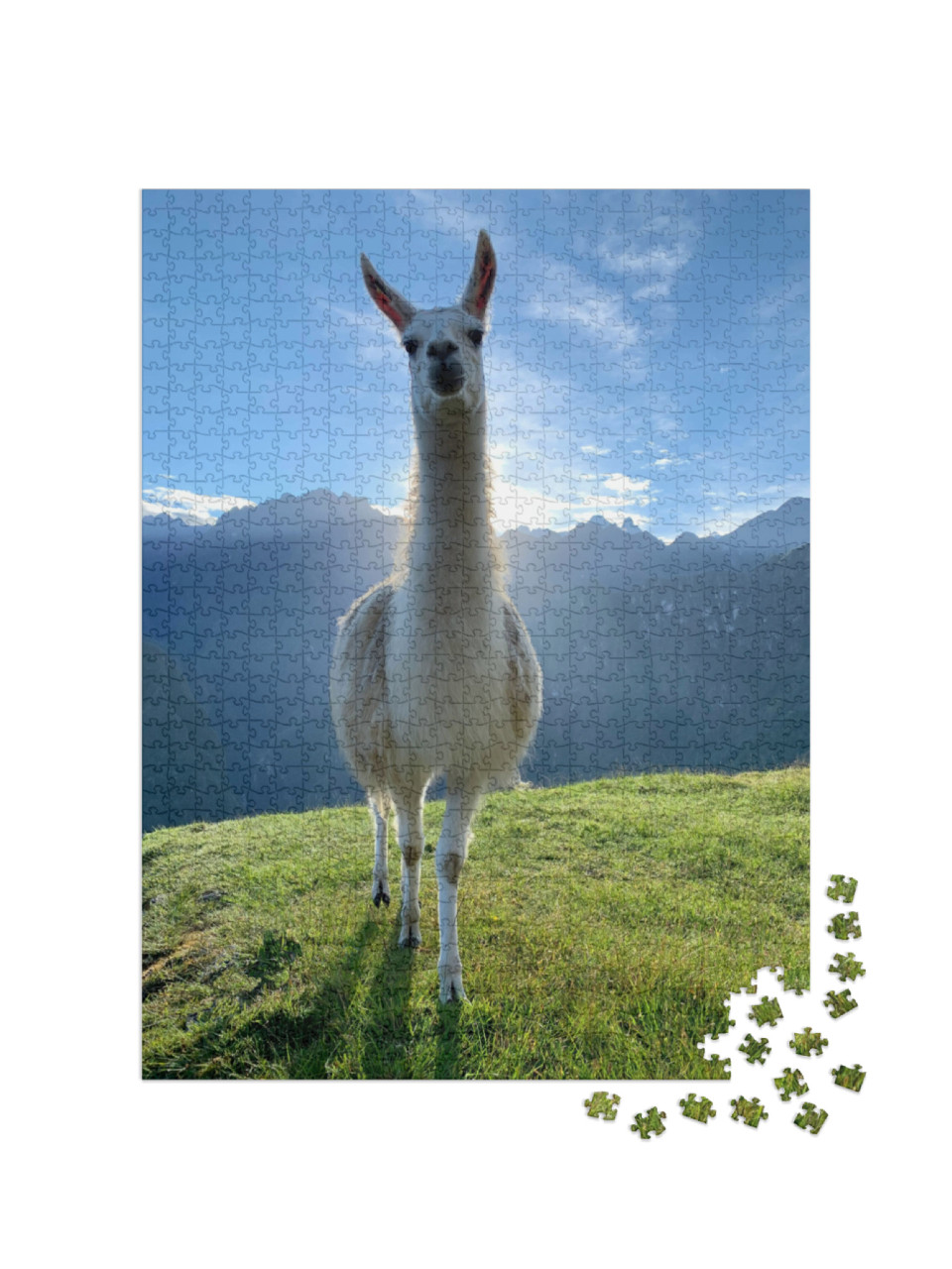 Puzzle 1000 Teile „Weißes Lama in den Anden, Peru“