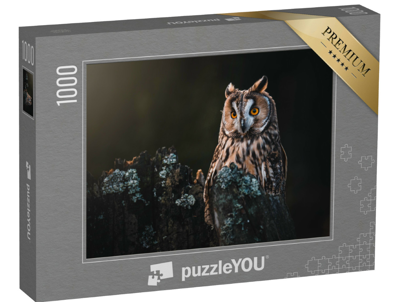 Puzzle 1000 Teile „Waldohreule Asio otus, auf trockenem Baum sitzend“