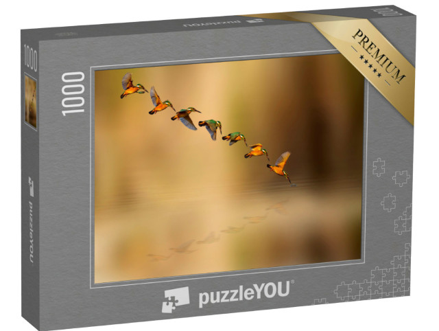 Puzzle 1000 Teile „Tauchender Eisvogel“