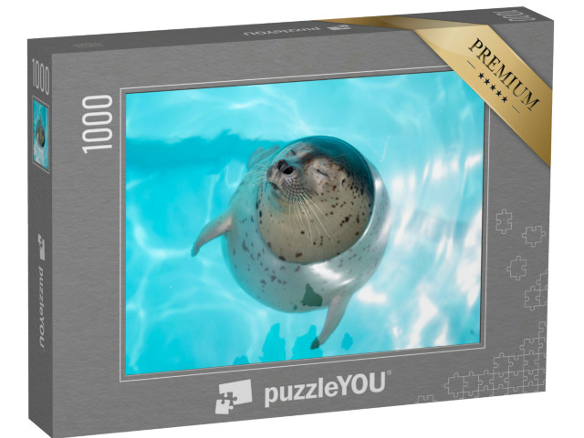 Puzzle 1000 Teile „Seehundbaby, entspannt im Wasser“