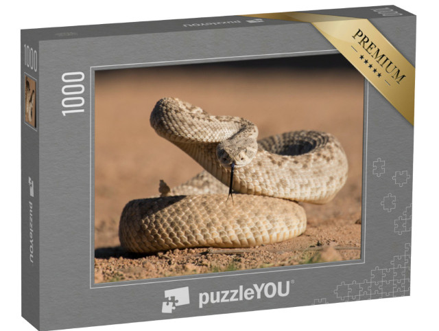 Puzzle 1000 Teile „Junge Diamantrücken-Klapperschlange“