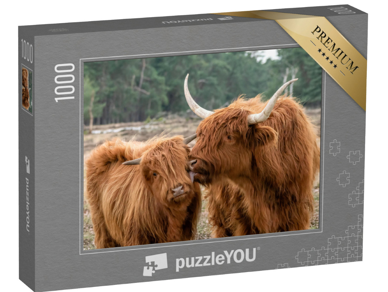 Puzzle 1000 Teile „Schottisches Hochlandrind mit Kalb“