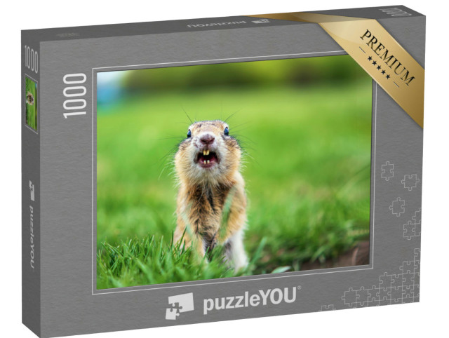 Puzzle 1000 Teile „Erdhörnchen auf dem Rasen, Nahaufnahme“