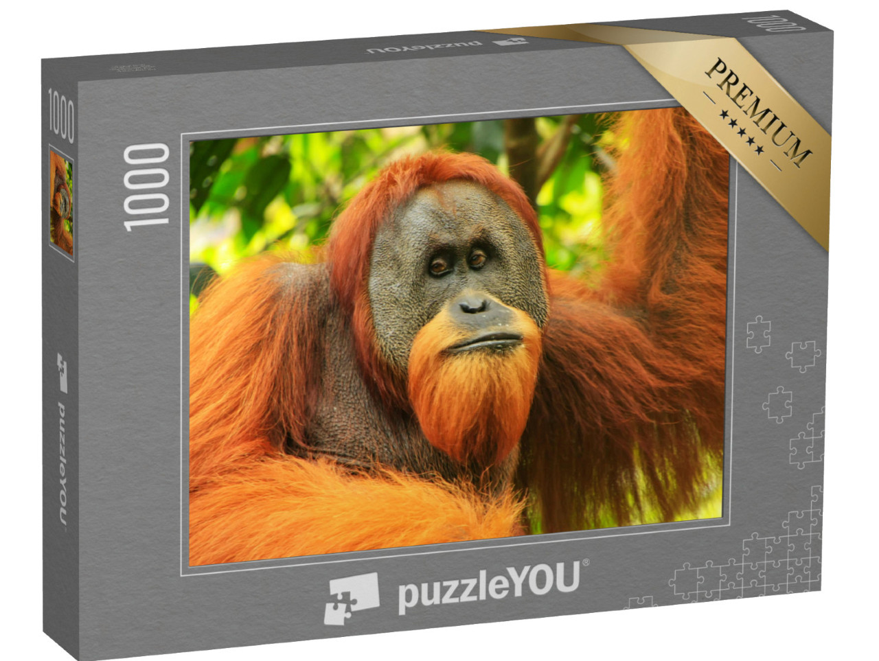 Puzzle 1000 Teile „Porträt eines männlichen Sumatra-Orang-Utans, Indonesien“