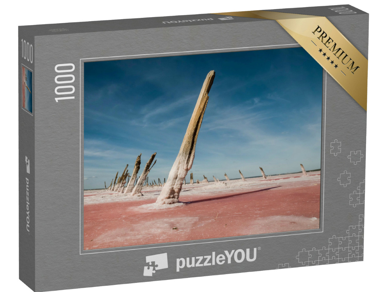 Puzzle 1000 Teile „Salinas Grande, La Pampa, Argentinien“