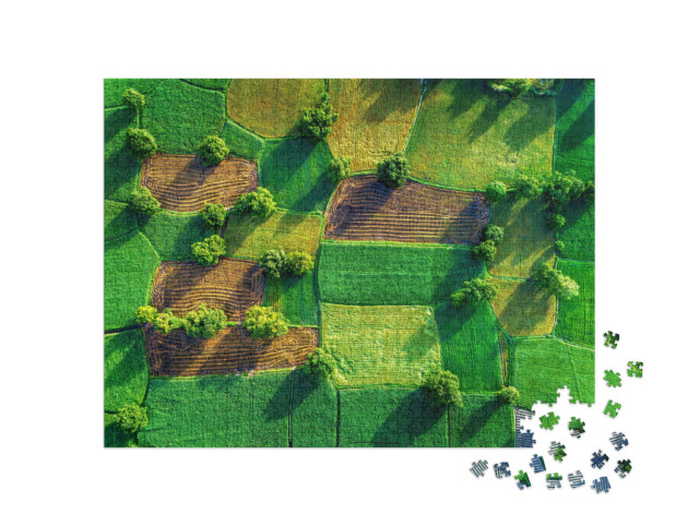 Puzzle 1000 Teile „Luftaufnahme von Reisfeldern im Mekong-Delta, Vietnam“