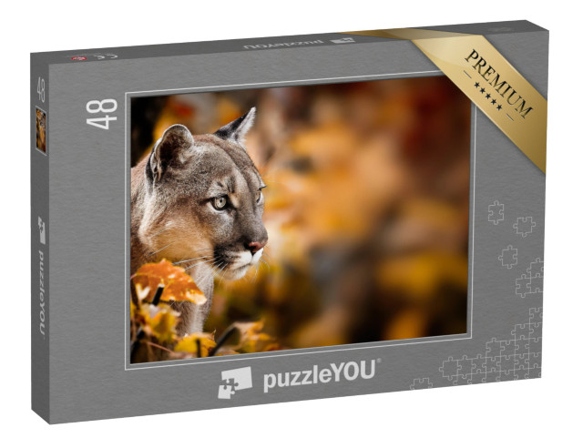 Puzzle 48 Teile „Aufmerksamer Puma, auch bekannt als Berglöwe“