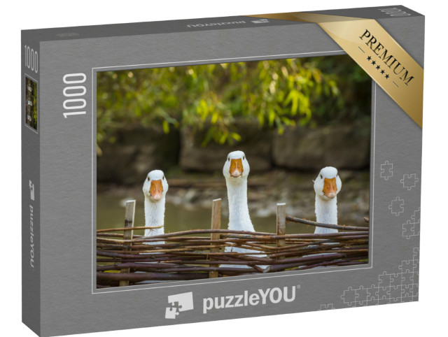 Puzzle 1000 Teile „Drei neugierige Gänse“