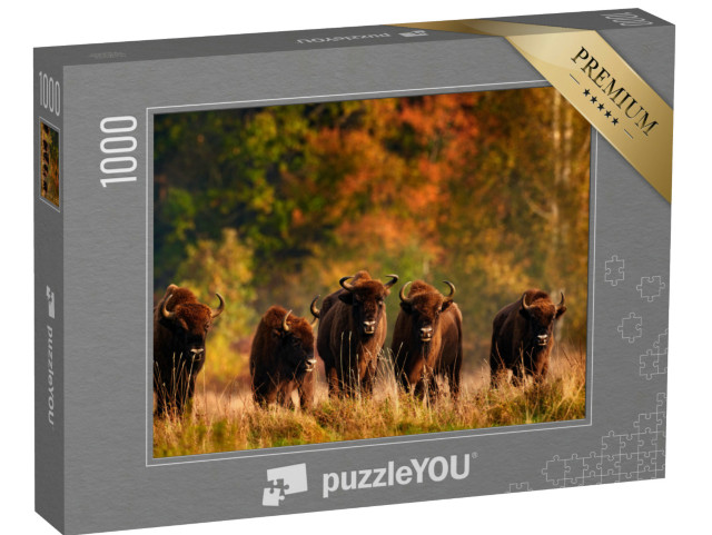 Puzzle 1000 Teile „Herbstwald mit Wiesentherde, Polen“
