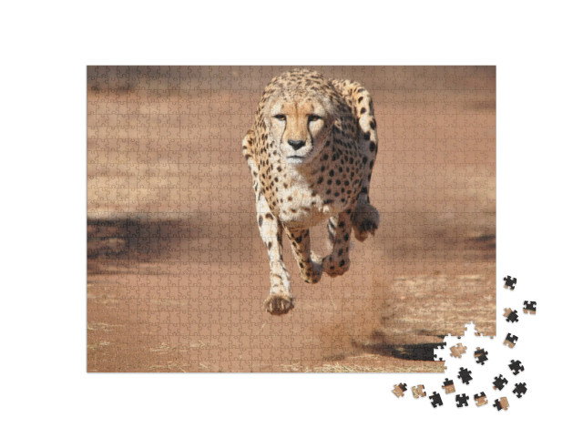 Puzzle 1000 Teile „Gepard beim Lauf, komplett in der Luft“