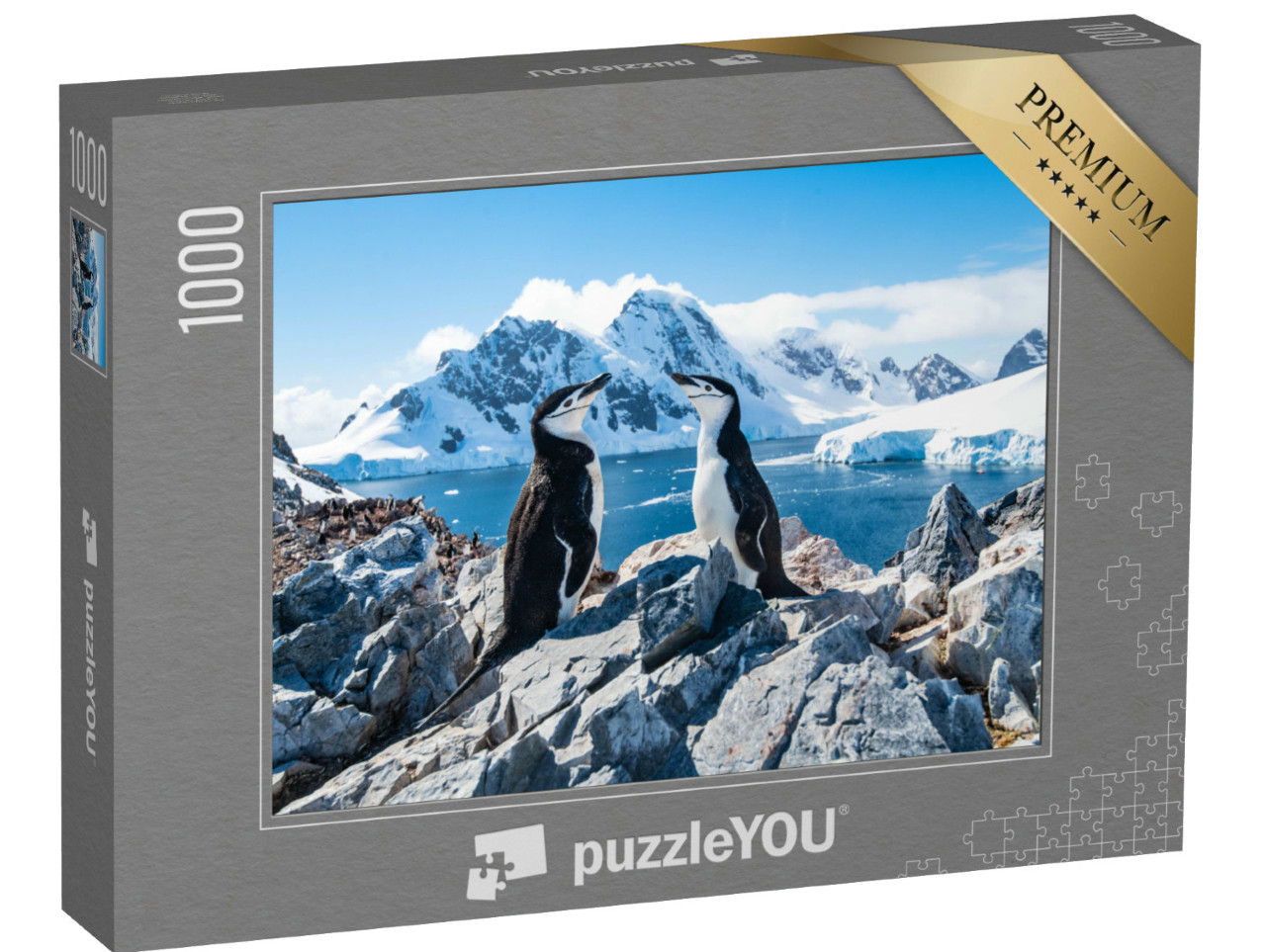 Puzzle 1000 Teile „Zügelpinguin, Antarktis, Januar 2019“