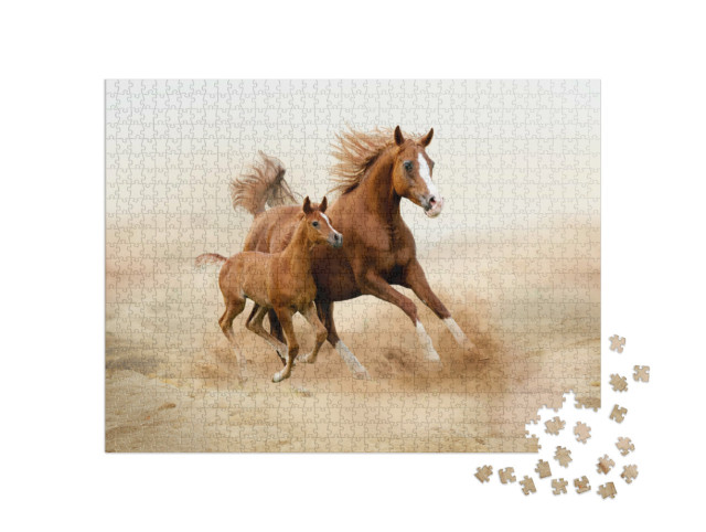Puzzle 1000 Teile „Reinrassiges weißes arabisches Pferd“