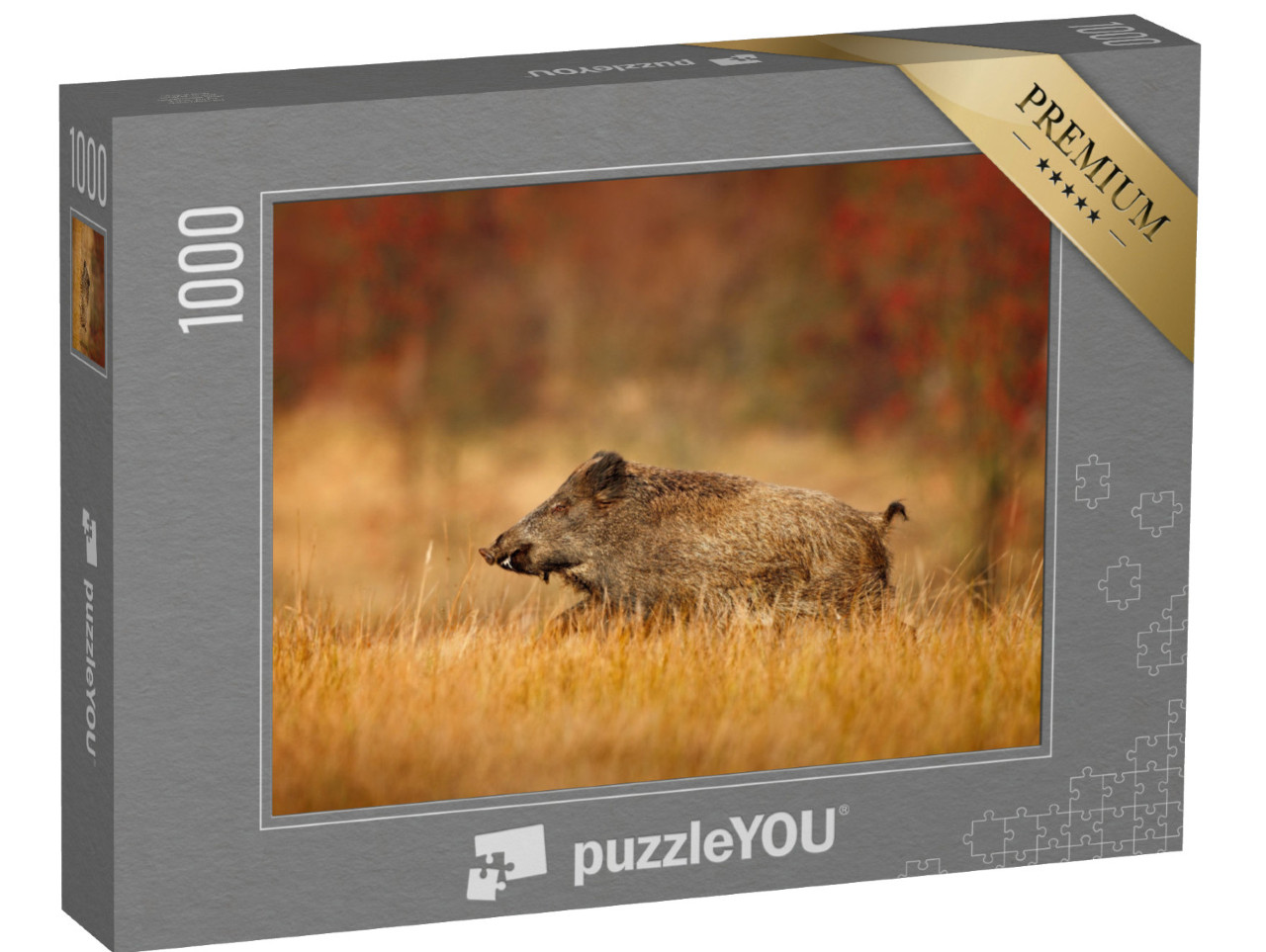 Puzzle 1000 Teile „Herbst im Wald: großes Wildschwein, Sus scrofa, läuft auf einer Wiese“