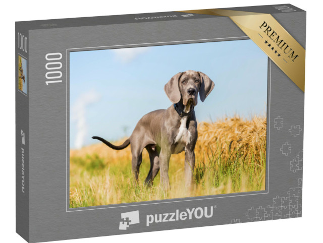 Puzzle 1000 Teile „Porträtbild eines Doggenwelpen, der auf einem Feldweg steht“