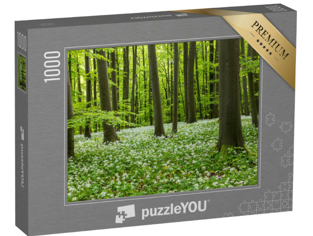 Puzzle 1000 Teile „Wunderschöne Bärlauchblüte im Nationalpark Hainich, Thüringen“