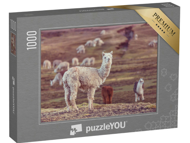 Puzzle 1000 Teile „Peruanisches Alpaka, Anden“
