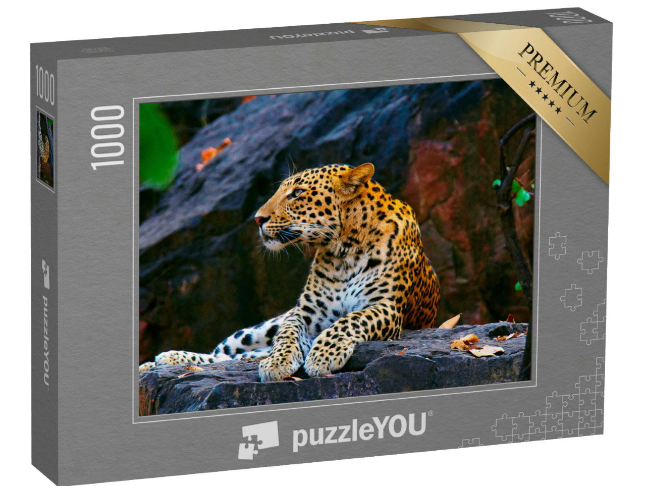 Puzzle 1000 Teile „Indischer Leopard, Panthera pardus fusca, Ranthambhore Tiger Reserve, Rajasthan“