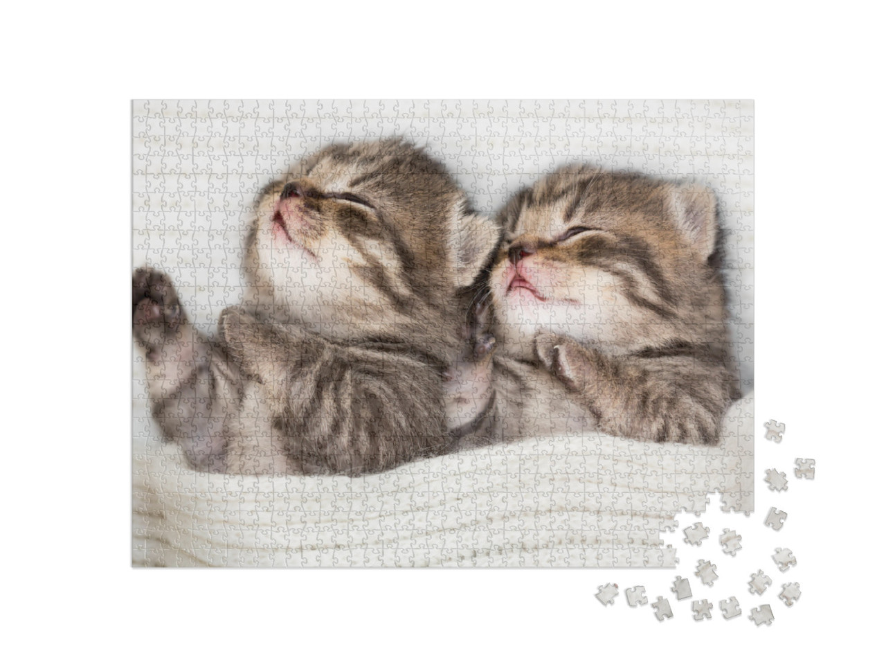 Puzzle 1000 Teile „Zwei schlafende Babykätzchen“