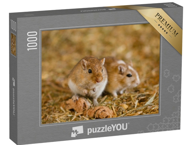 Puzzle 1000 Teile „Zwei Mongolische Rennmäuse“