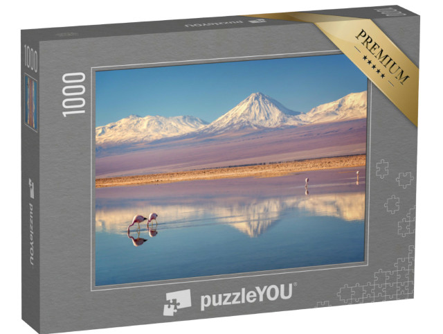Puzzle 1000 Teile „Vulkan Licancabur und Laguna Chaxa, Chile“