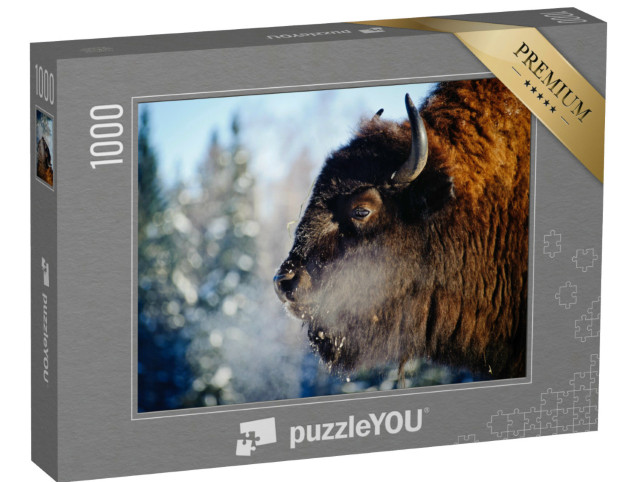 Puzzle 1000 Teile „Wisent in freier Wildbahn“