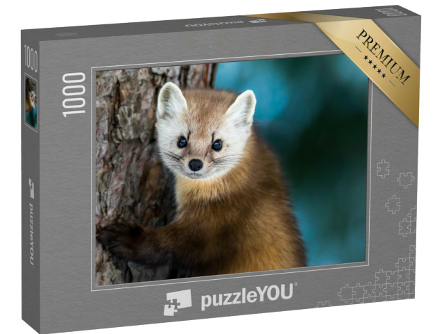 Puzzle 1000 Teile „Amerikanischer Marder an einem Kiefernstamm“