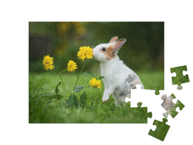 Puzzle 48 Teile „Kleines neugieriges Kaninchen“
