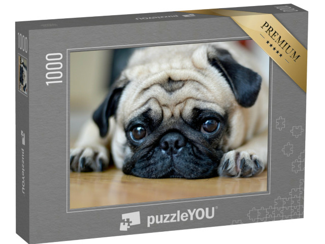 Puzzle 1000 Teile „Mops mit treuherzigem Blick“