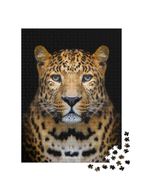 Puzzle 1000 Teile „Nahaufnahme Leopard: Porträt auf dunklem Hintergrund“