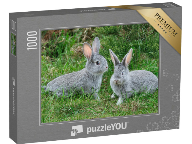 Puzzle 1000 Teile „Flauschige graue Kaninchen auf dem grünen Gras“