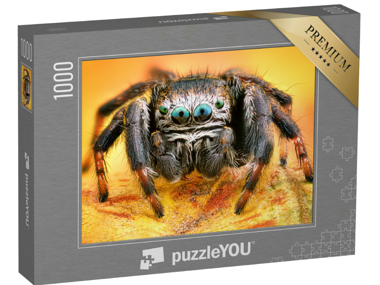 Puzzle 1000 Teile „Makrofotografie: Polnische Springspinne“
