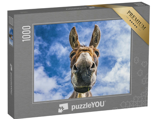Puzzle 1000 Teile „Esel, Nahaufnahme“