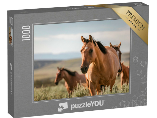 Puzzle 1000 Teile „Amerikanische Quarter Horse Ranch Pferde in Wyoming, USA“