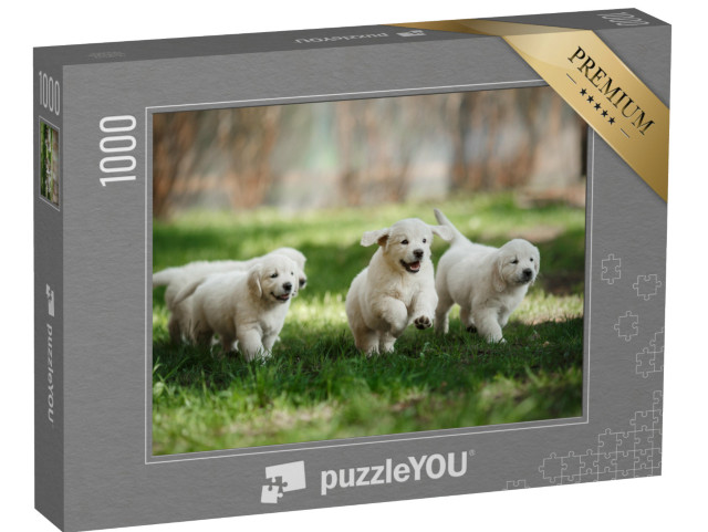 Puzzle 1000 Teile „Kleine Golden-Retriever-Welpen, die im Sommer im Park herumlaufen und spielen“