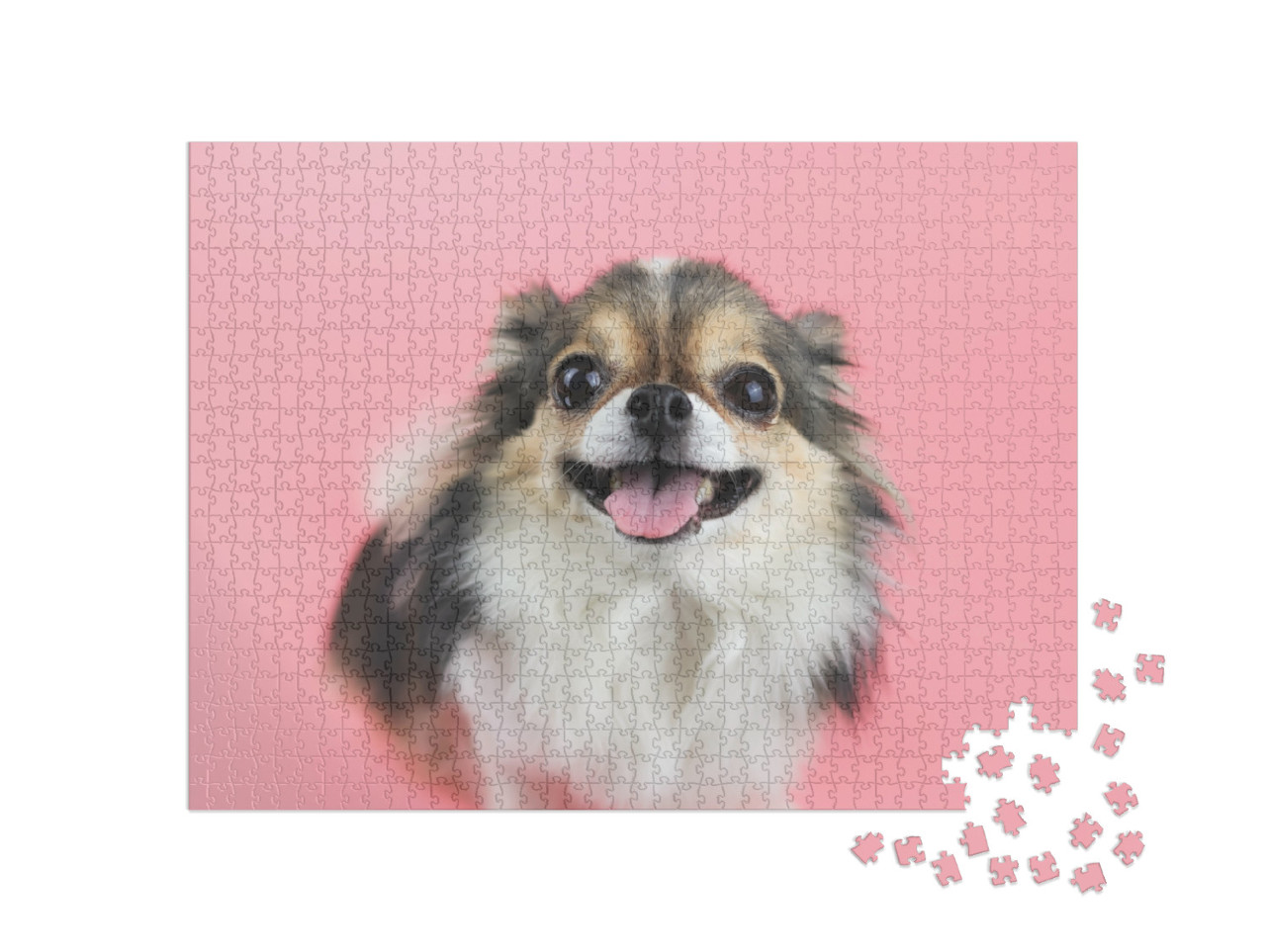 Puzzle 1000 Teile „Nahaufnahme: Chihuahua mit langen Haaren und rosa Zunge“