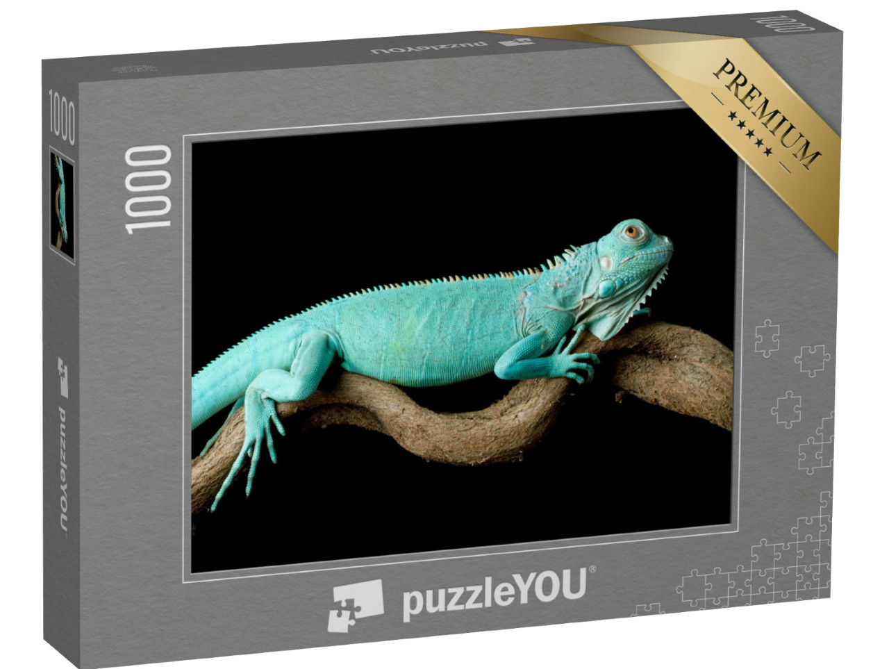 Puzzle 1000 Teile „Blauer Leguan: Nahaufnahme auf Ast, Cyclura Lewisi“