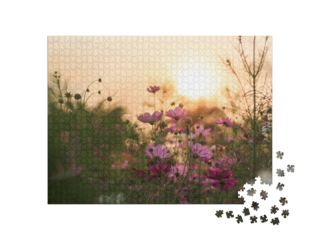 Puzzle 1000 Teile „Blühende Cosmea im Abendlicht“