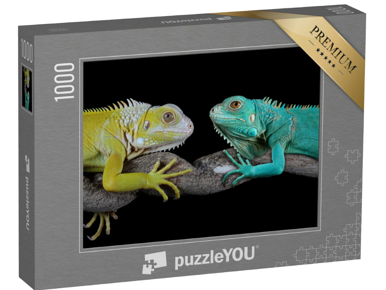 Puzzle 1000 Teile „Blauer Leguan: Grand Cayman Blue Iguanas“